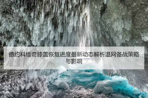德约科维奇膝盖恢复进度最新动态解析温网备战策略与影响