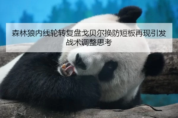 森林狼内线轮转复盘戈贝尔换防短板再现引发战术调整思考