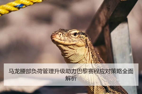 马龙腰部负荷管理升级助力巴黎赛程应对策略全面解析