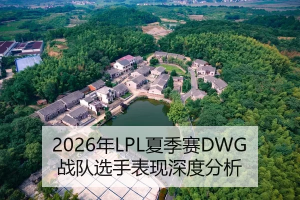 2026年LPL夏季赛DWG战队选手表现深度分析