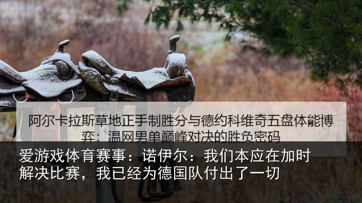 爱游戏体育赛事：诺伊尔：我们本应在加时解决比赛，我已经为德国队付出了一切