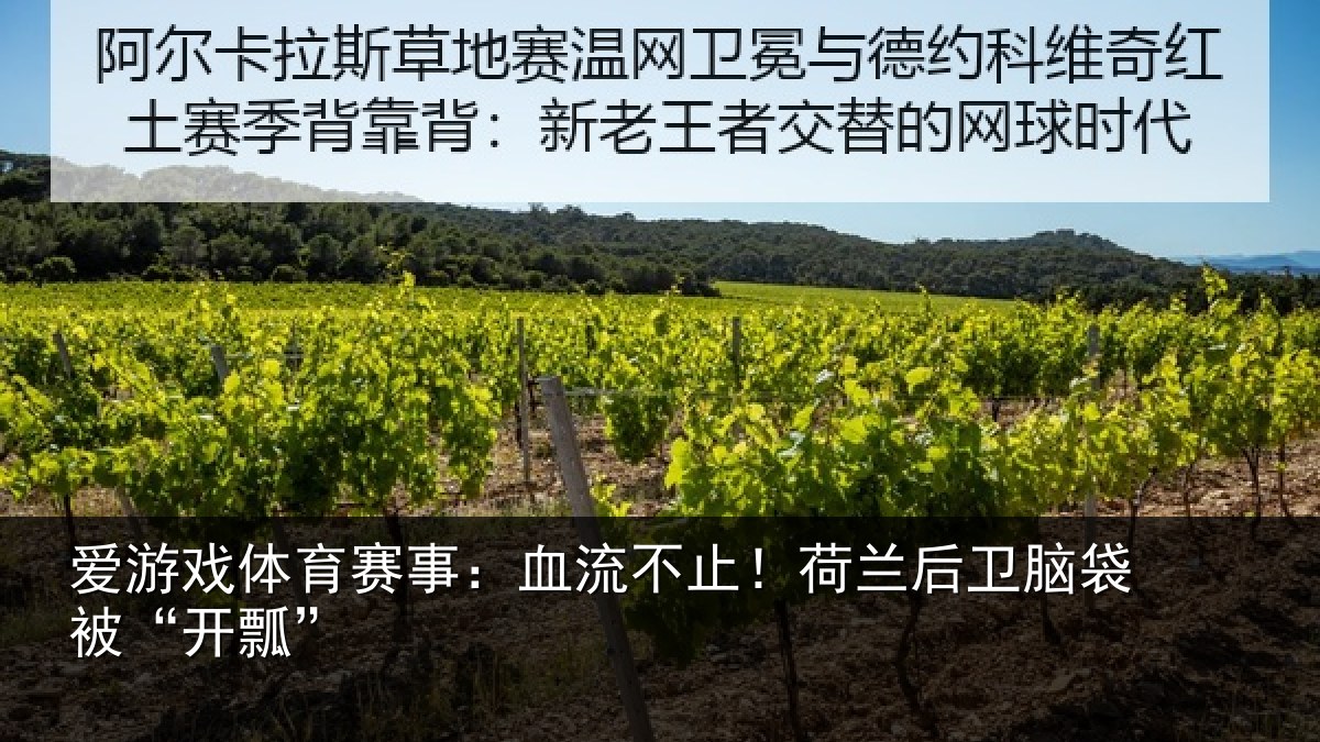 爱游戏体育赛事：血流不止！荷兰后卫脑袋被“开瓢”