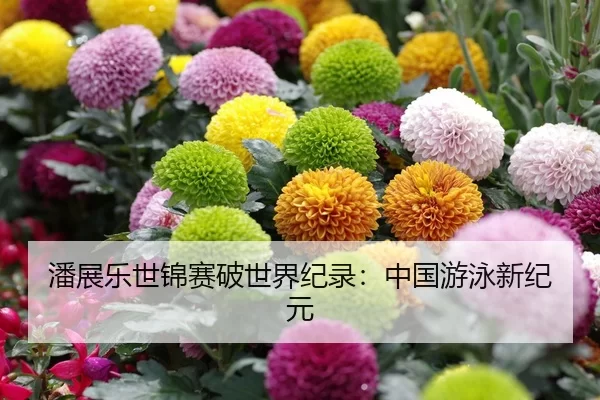 潘展乐世锦赛破世界纪录：中国游泳新纪元